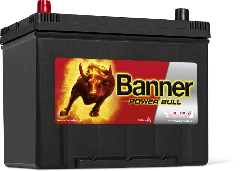 Banner Power Bull P70 24 ASIA