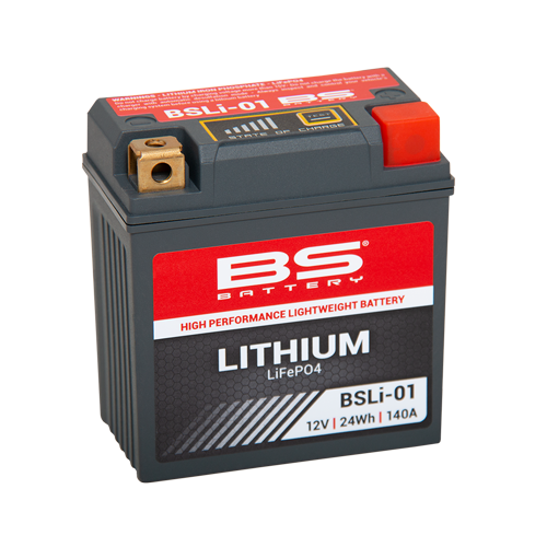 BS Battery BSLi-01