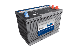TAB POLAR BCI 31S SMF-D S110BCID