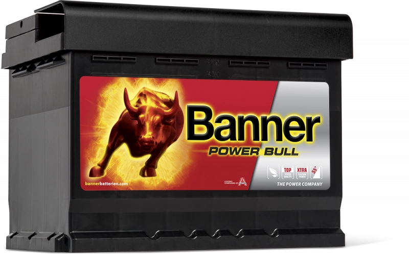 Banner Power Bull P60 09