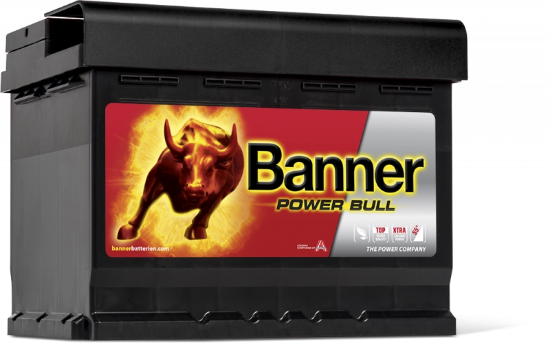 Banner Power Bull P62 19