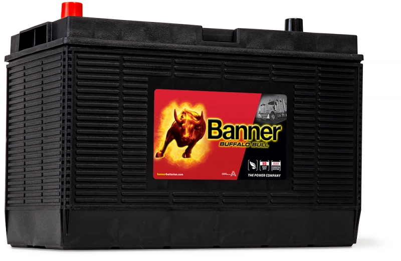 Banner Buffalo Bull 605 02 US BCI 31