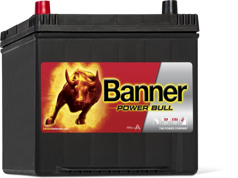 Banner Power Bull P60 69 ASIA
