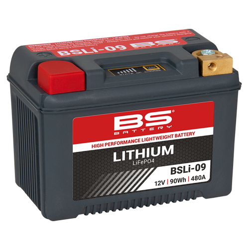 BS Battery BSLi-09