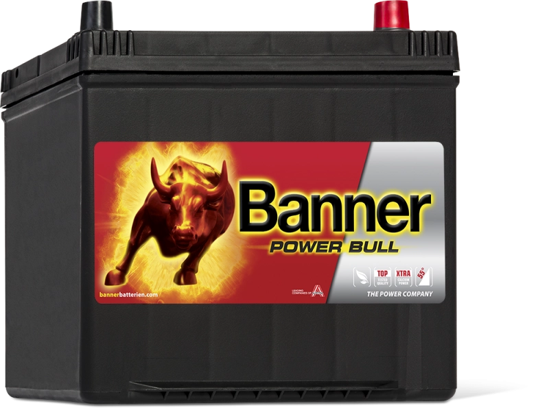 Banner Power Bull P60 68 ASIA