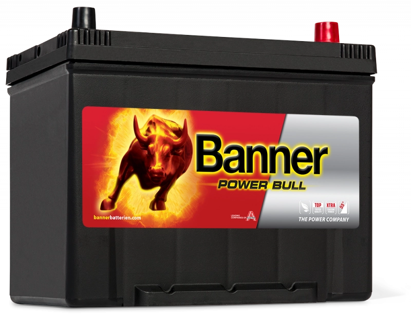 Banner Power Bull P70 29 ASIA