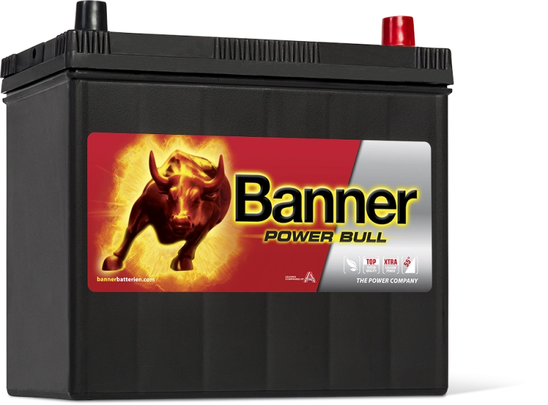 Banner Power Bull P45 23 ASIA